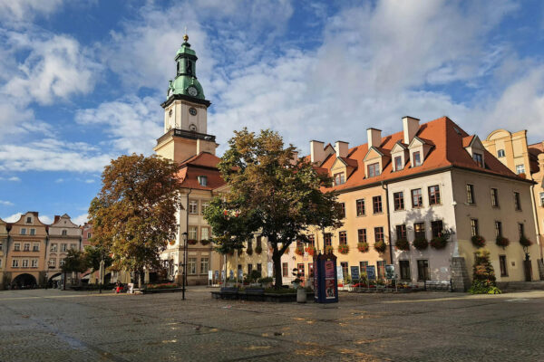 pexels-kostiantyn-19851657 (2) pexels-kostiantyn-19851657 (2)